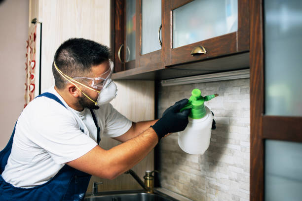 Best Wasp Removal Services  in Shortsville, NY