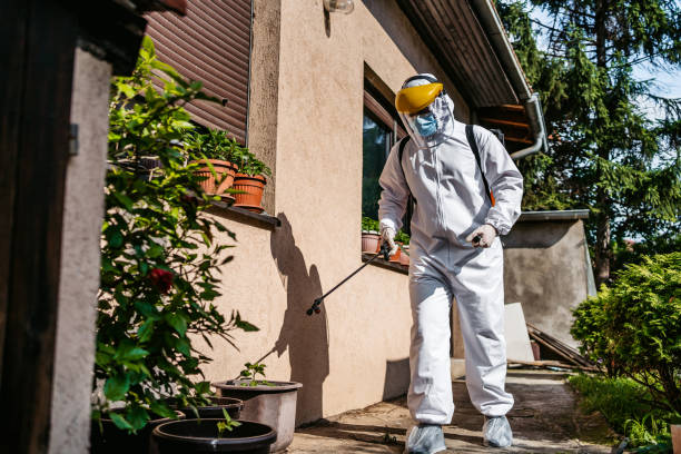 Professional Pest Control in Shortsville, NY