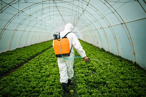 Best Pest Control Near Me  in Shortsville, NY