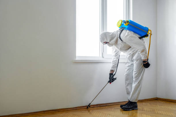 Best Rat Extermination Near Me  in Shortsville, NY