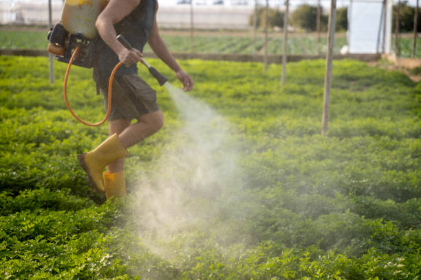 Best Ant Control Services  in Shortsville, NY