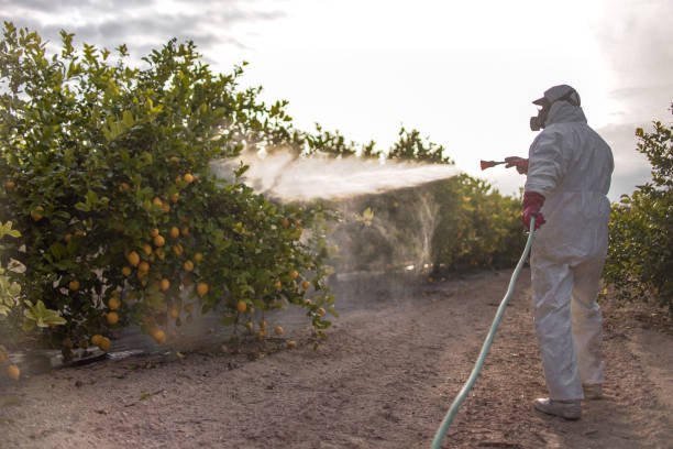  Shortsville, NY Pest Control Pros