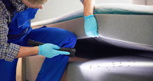 Best Cockroach Control Services  in Shortsville, NY
