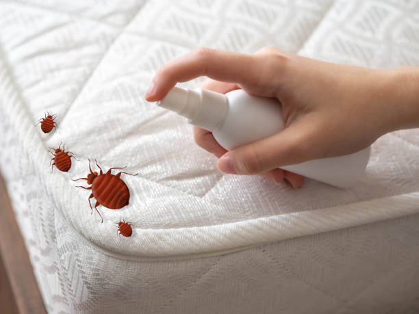 Best Pest Control for Restaurants  in Shortsville, NY