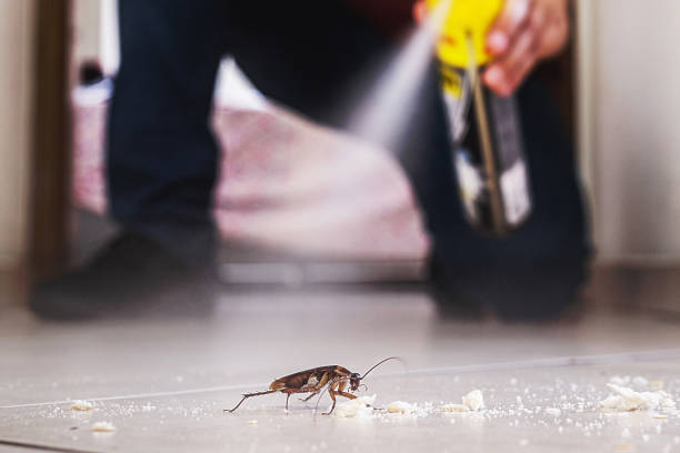 Best Commercial Pest Control Services  in Shortsville, NY