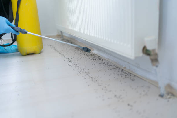 Best Pest Control Treatment  in Shortsville, NY