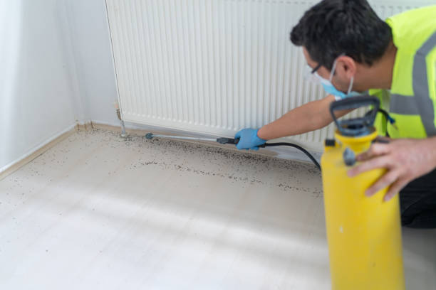Best Pest Removal Services  in Shortsville, NY