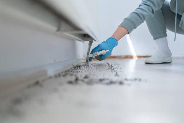 Best Bed Bug Extermination  in Shortsville, NY