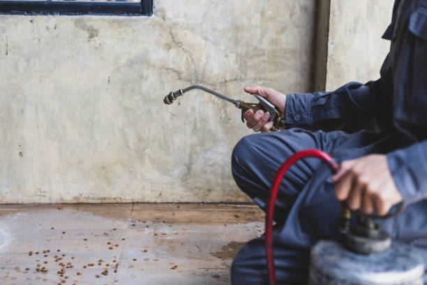 Best Best Pest Control Companies  in Shortsville, NY